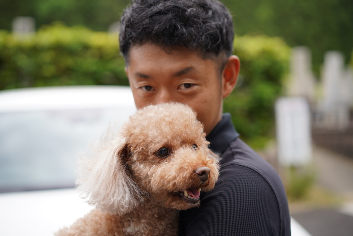 f:id:djrkmrym:20190523102347j:plain