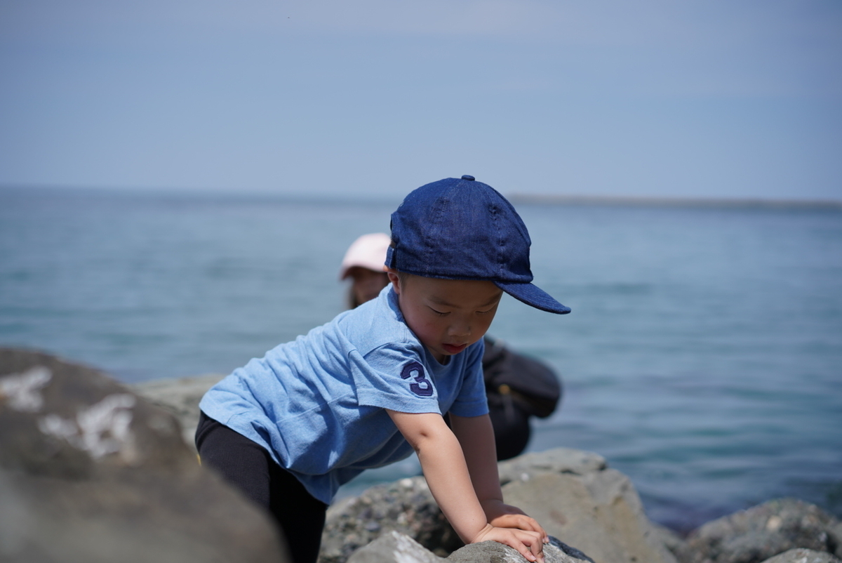 f:id:djrkmrym:20190524130226j:plain f:id:djrkmrym:20190524130226j:plain