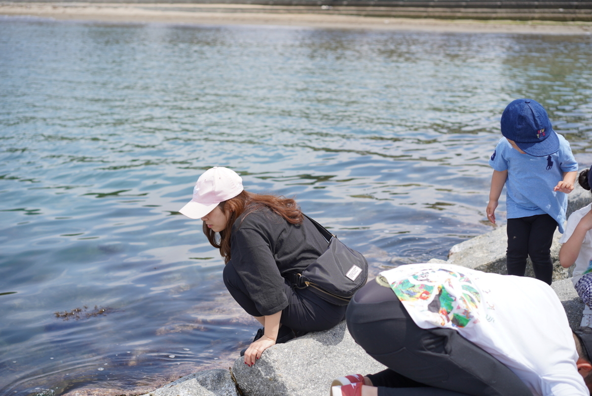 f:id:djrkmrym:20190524130817j:plain f:id:djrkmrym:20190524130817j:plain