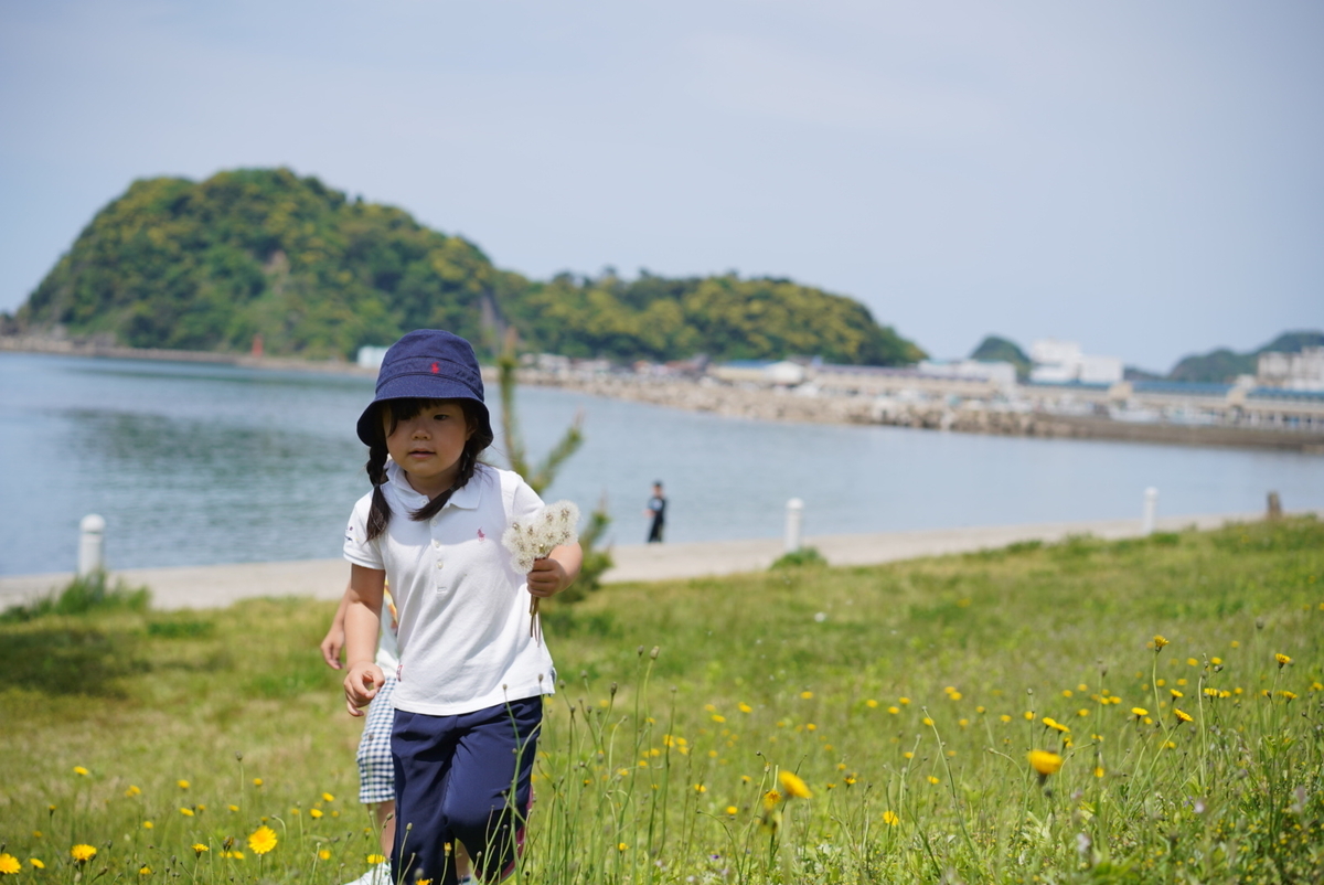 f:id:djrkmrym:20190524131827j:plain f:id:djrkmrym:20190524131827j:plain