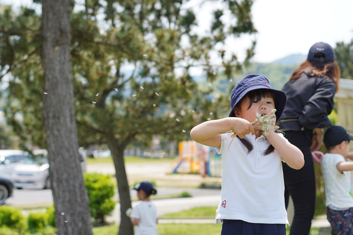 f:id:djrkmrym:20190524131915j:plain f:id:djrkmrym:20190524131915j:plain