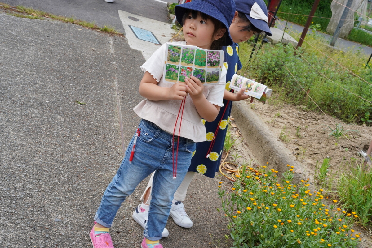 f:id:djrkmrym:20190524145332j:plain