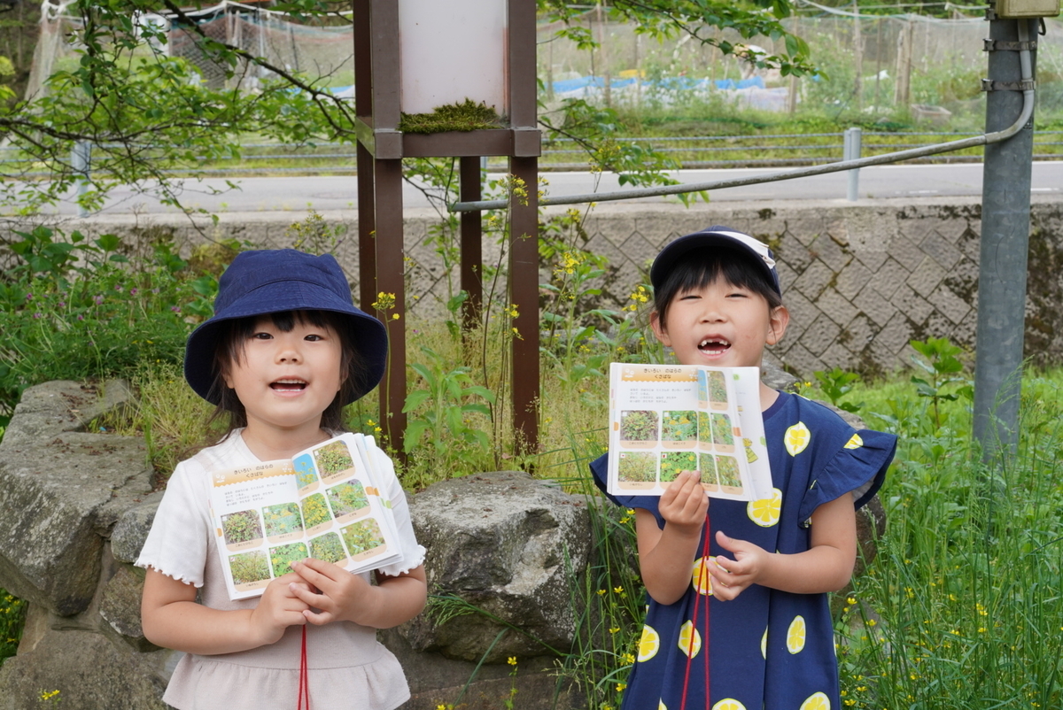 f:id:djrkmrym:20190524145800j:plain