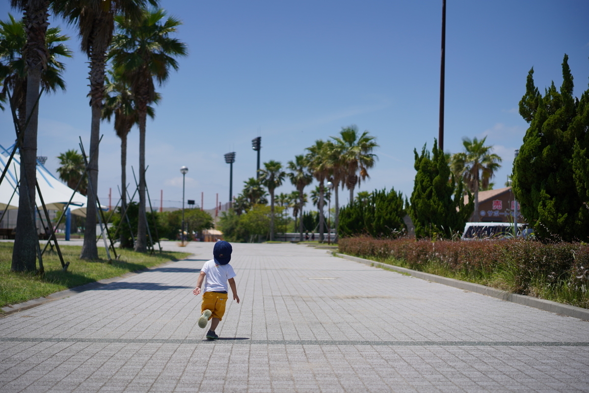 f:id:djrkmrym:20190610005835j:plain