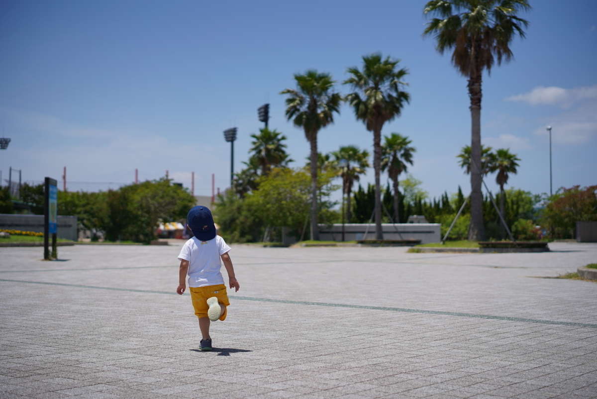 f:id:djrkmrym:20190610005913j:plain