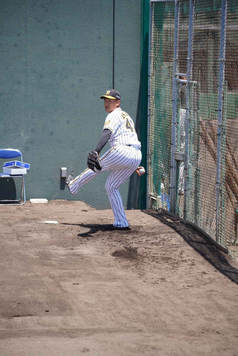 f:id:djrkmrym:20190611104813j:plain f:id:djrkmrym:20190611104813j:plain