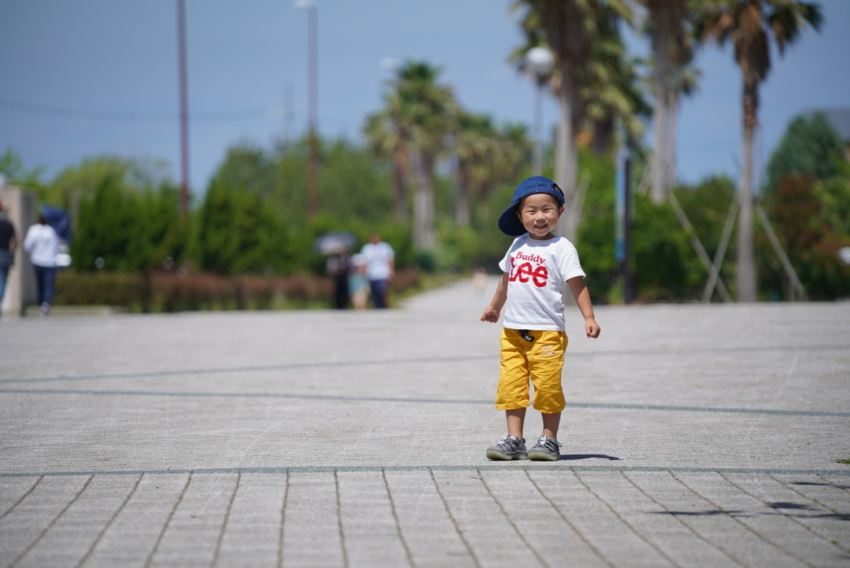 f:id:djrkmrym:20190611120725j:plain f:id:djrkmrym:20190611120725j:plain