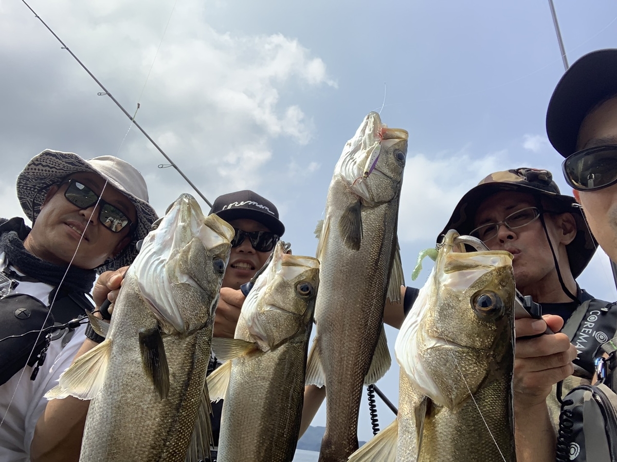 f:id:djrkmrym:20190805093808j:plain