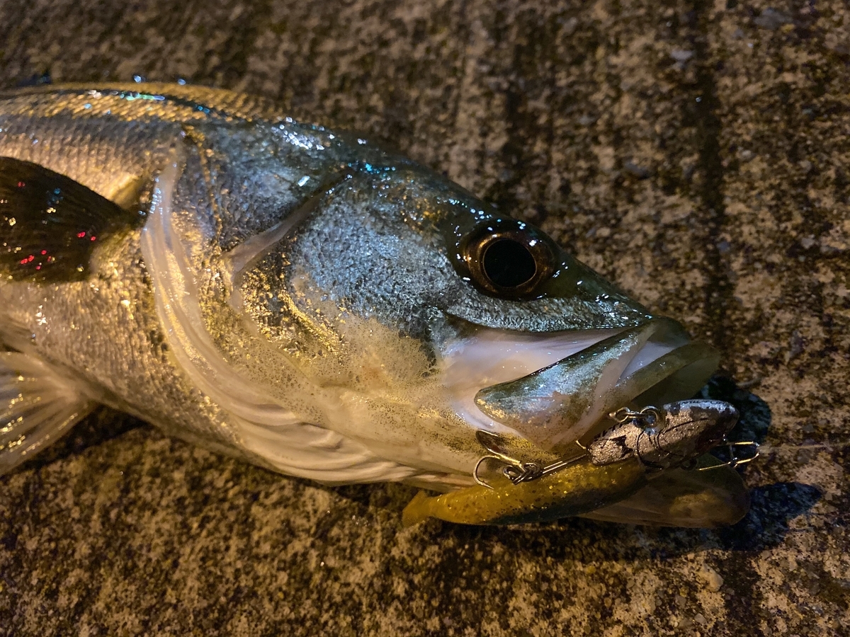 f:id:djrkmrym:20191003225831j:plain f:id:djrkmrym:20191003225831j:plain