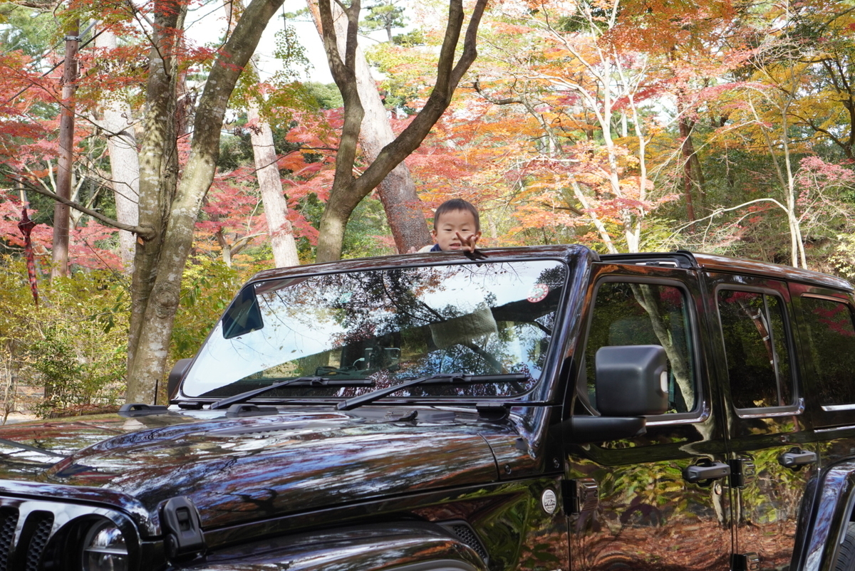 f:id:djrkmrym:20191213080249j:plain