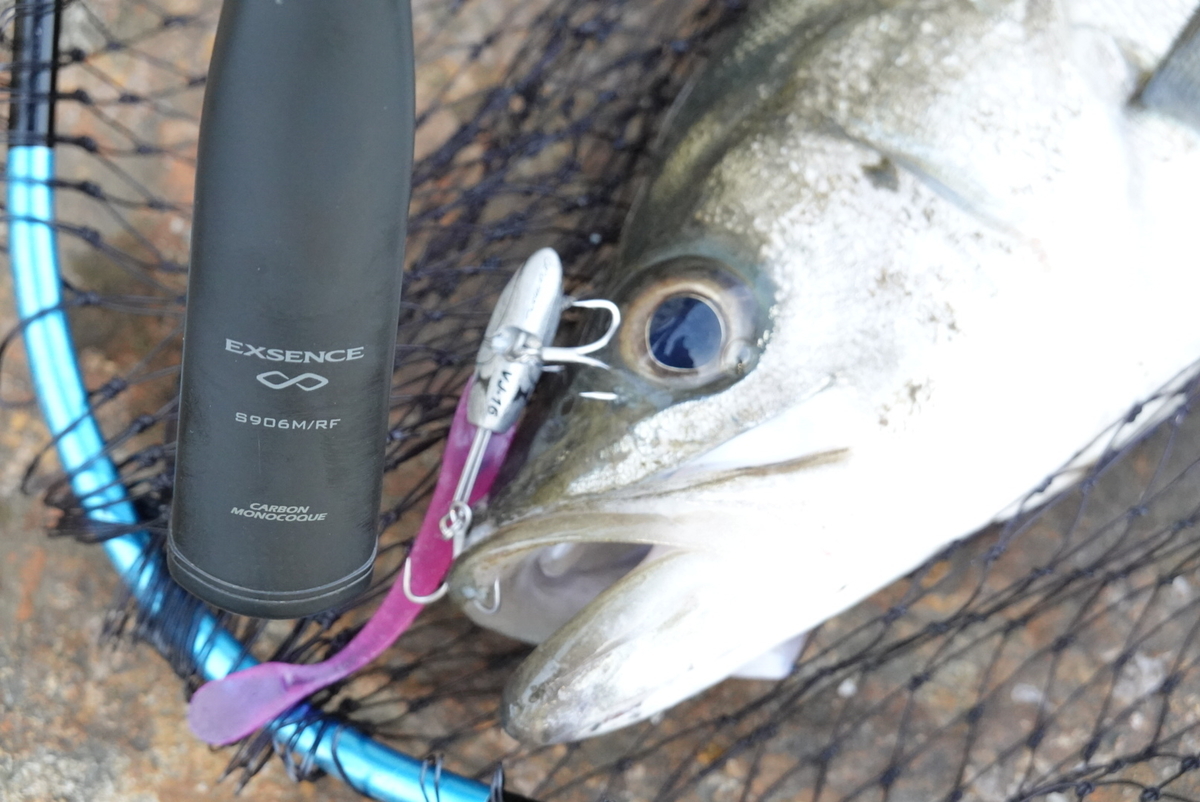 エクスセンスインフィニティS906MとジェノスS96M/F-3を比較 - じ