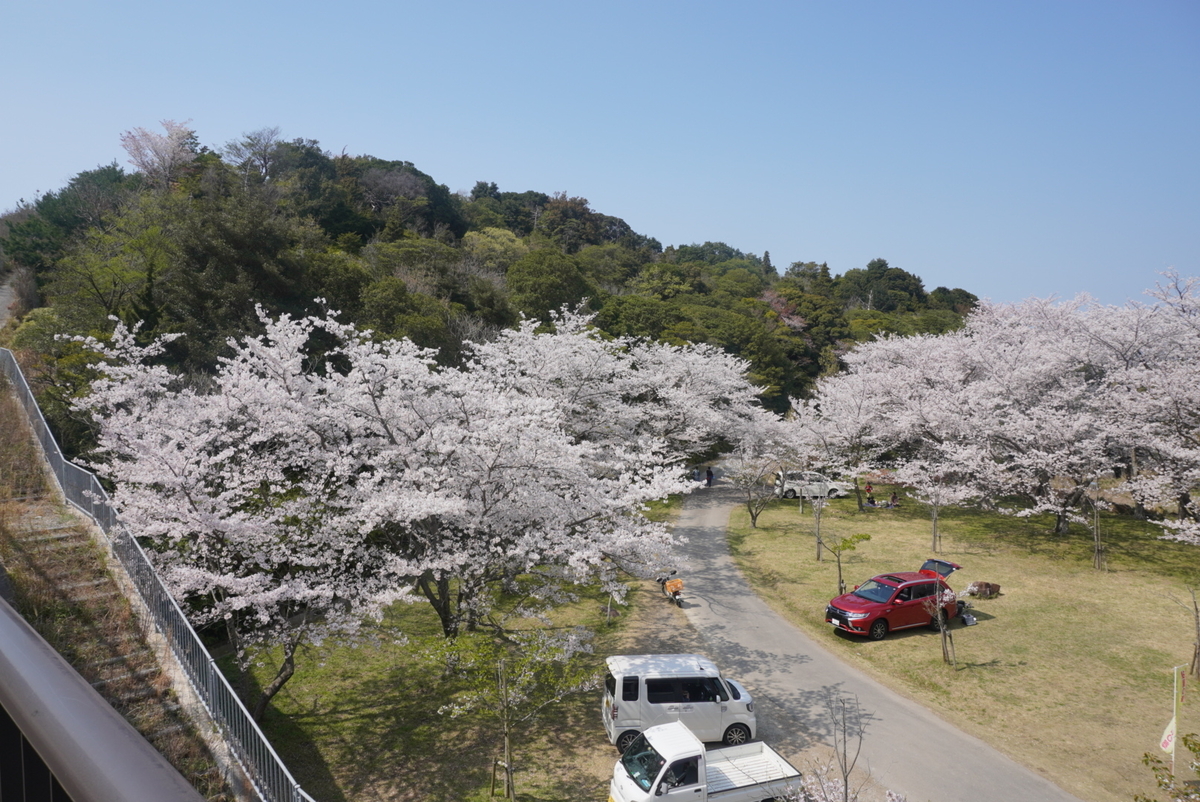 f:id:djrkmrym:20200414001308j:plain