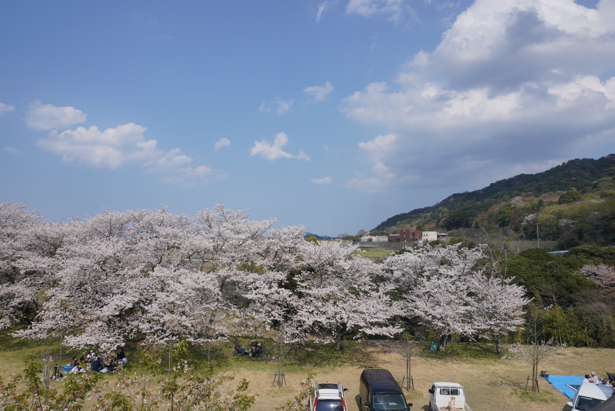f:id:djrkmrym:20200414001337j:plain