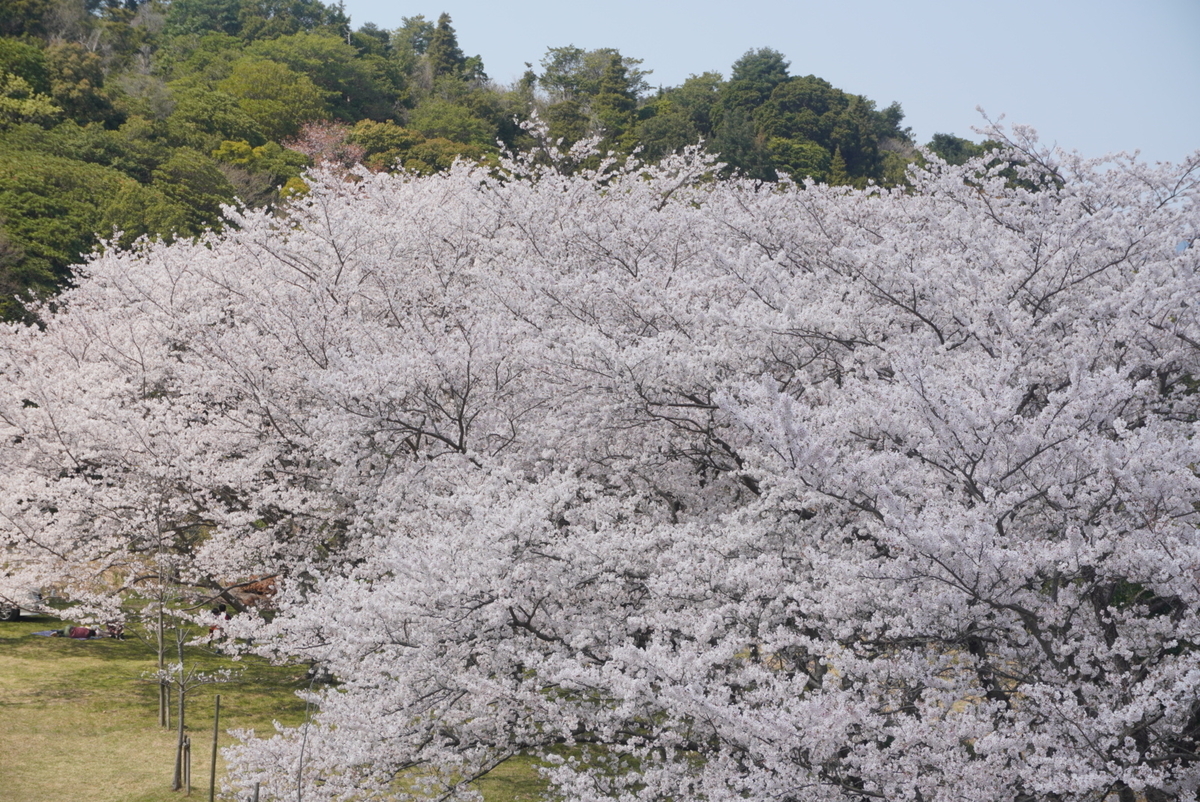f:id:djrkmrym:20200414001516j:plain