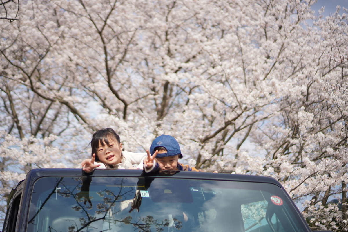 f:id:djrkmrym:20200414002112j:plain