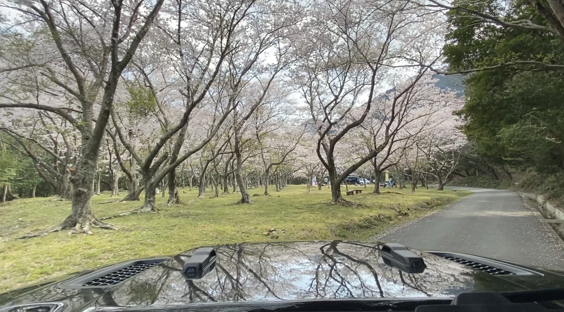 f:id:djrkmrym:20200414120256j:plain