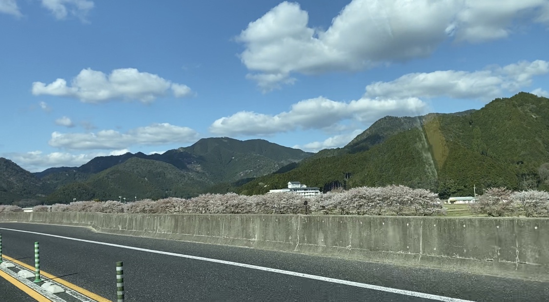 f:id:djrkmrym:20200420222602j:plain