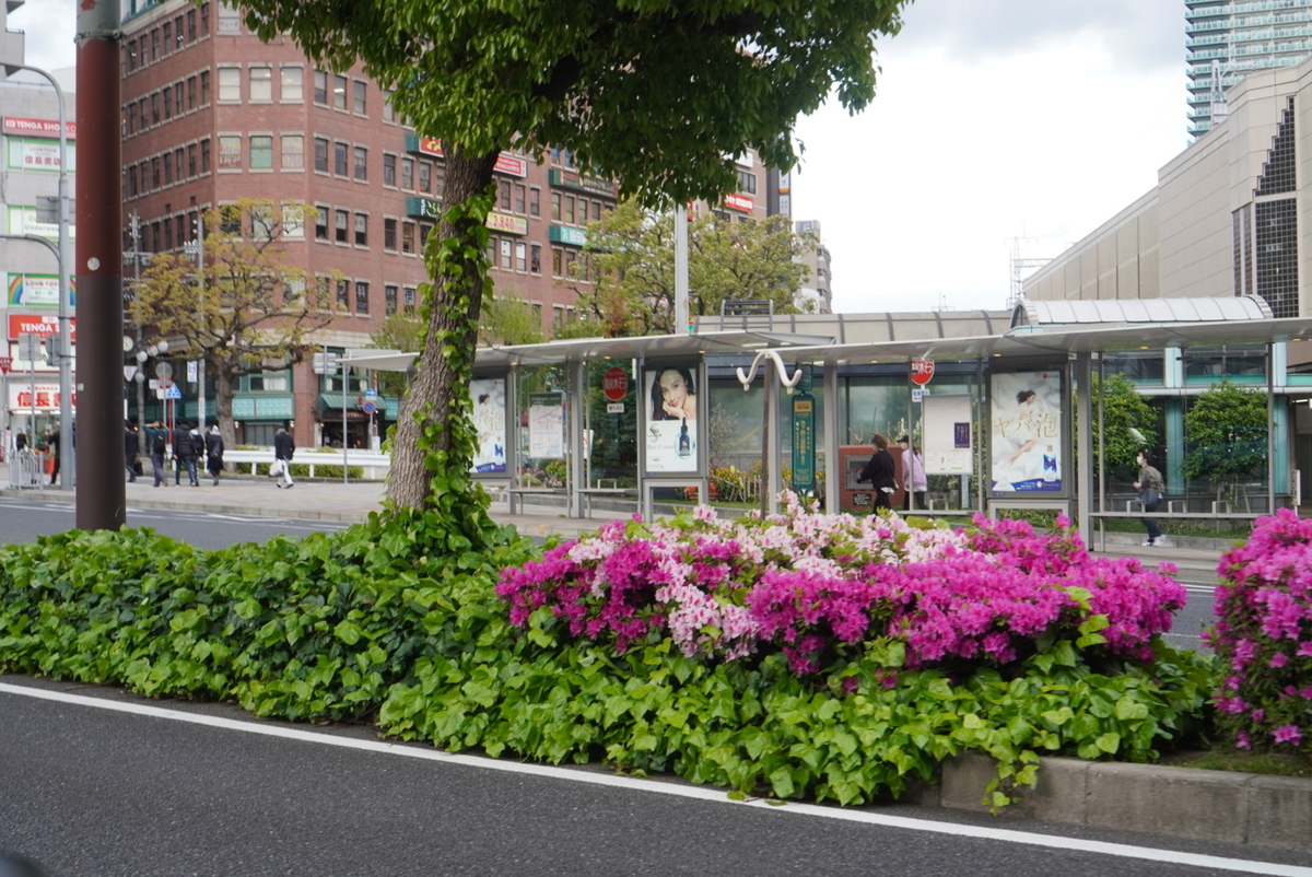 f:id:djrkmrym:20200501135241j:plain f:id:djrkmrym:20200501135241j:plain