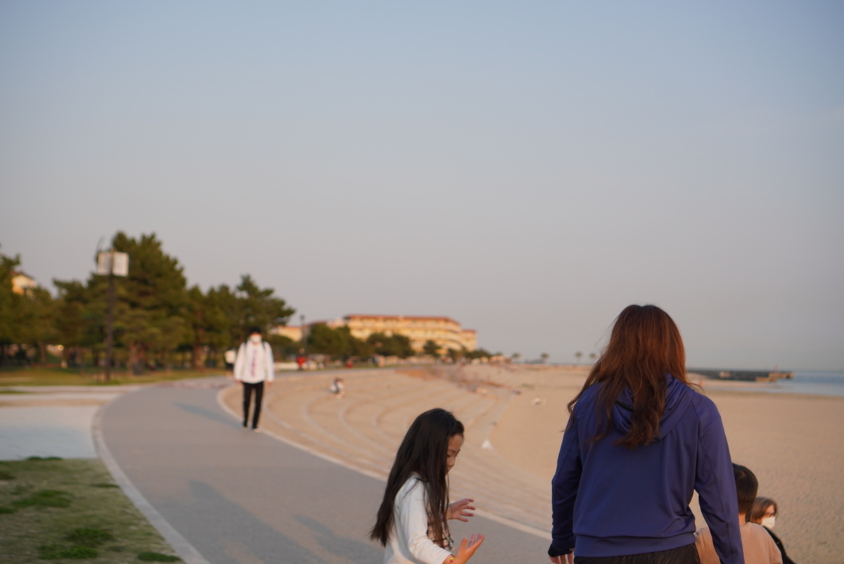 f:id:djrkmrym:20200502212143j:plain