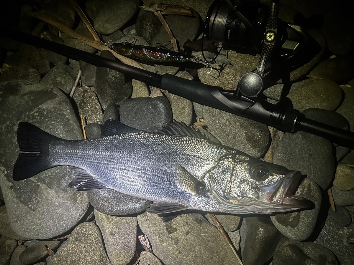 シマノ 23ディアルーナインプレ 96ML/100M/100MHを使ってみて - じー