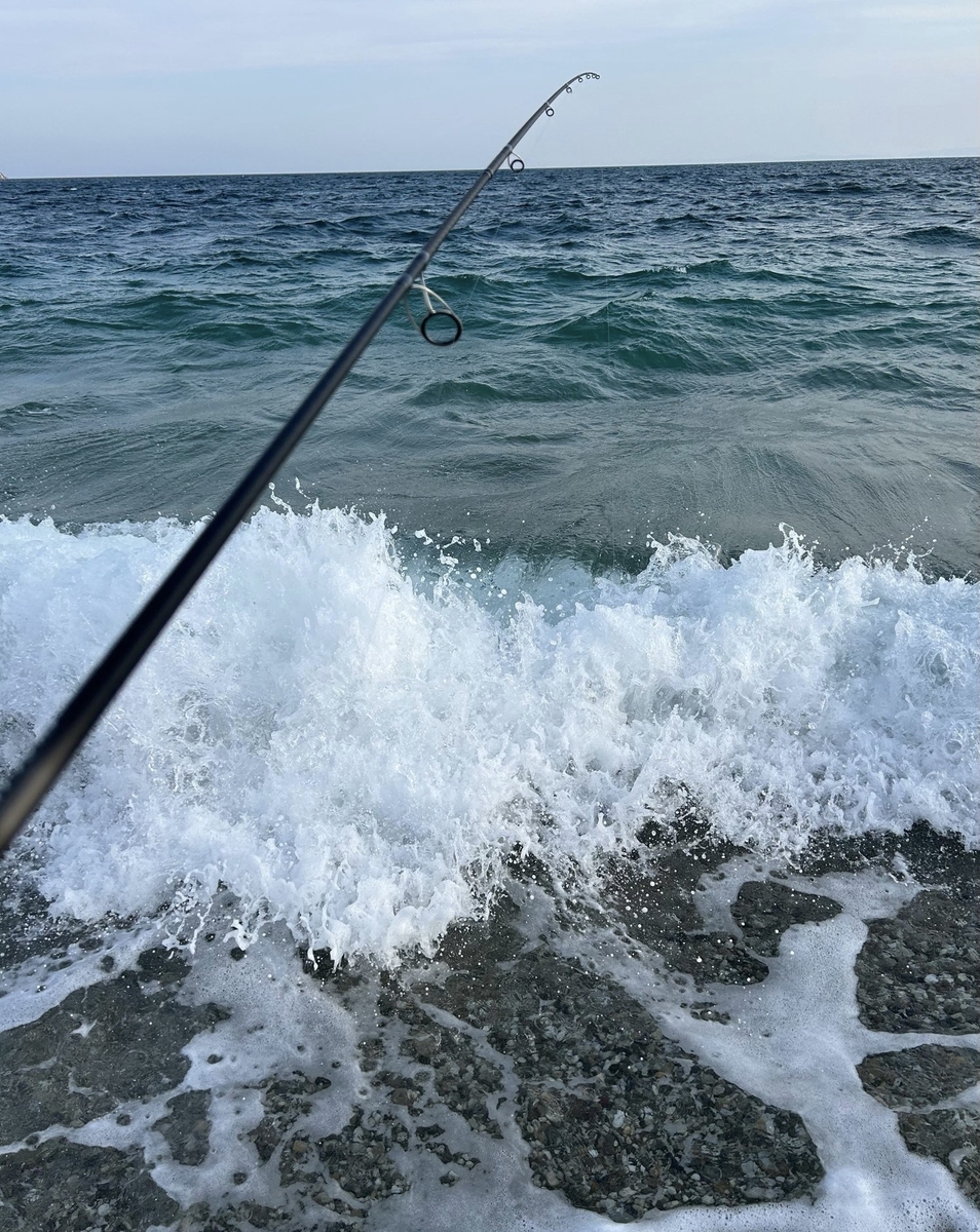 向かい風のサーフで青物【釣行記 2025.4.27】 - じーあーるえす184