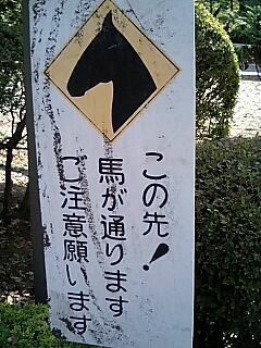 f:id:djrtaro:20071007123350j:image
