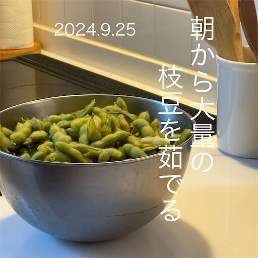 f:id:dkanap:20240925105008j:image f:id:dkanap:20240925105008j:image