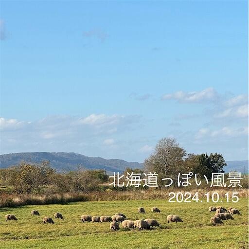 f:id:dkanap:20241015152429j:image