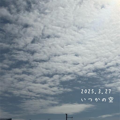 f:id:dkanap:20250327175809j:image f:id:dkanap:20250327175809j:image