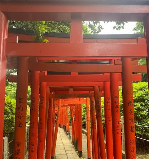 f:id:dkanap:20250520105433j:image
