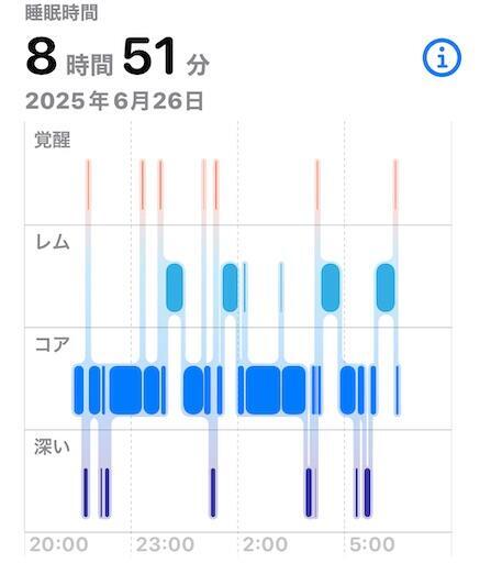 f:id:dkanap:20250626105929j:image