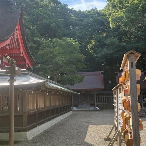f:id:dkanap:20250925145647j:image
