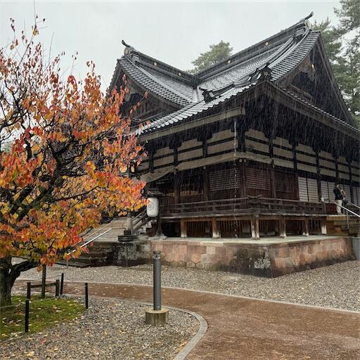 f:id:dkanap:20251130112150j:image