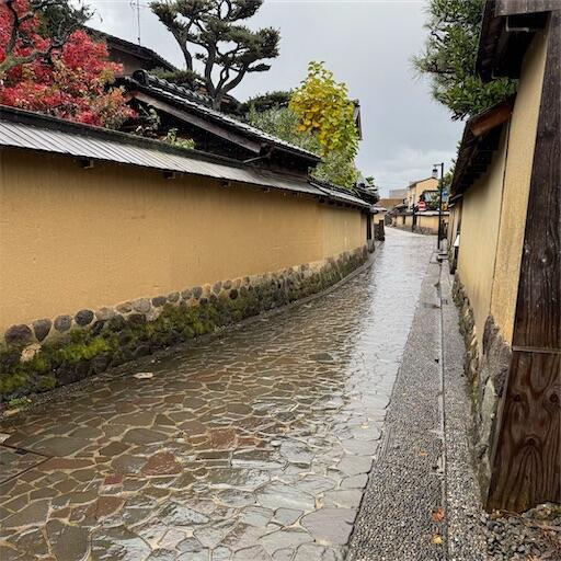 f:id:dkanap:20251130112339j:image