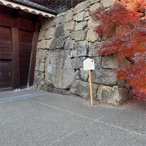 f:id:dkanap:20251205103051j:image
