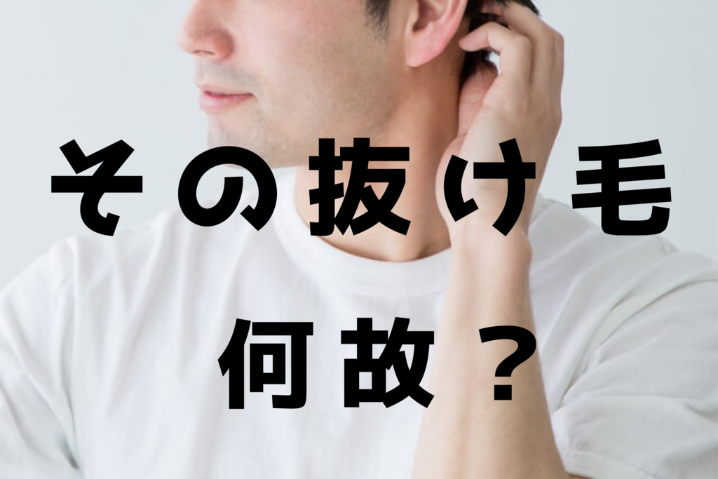 f:id:dkanbe0715:20190208120728p:plain