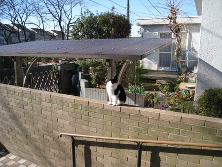 f:id:dkd:20080309032319j:image