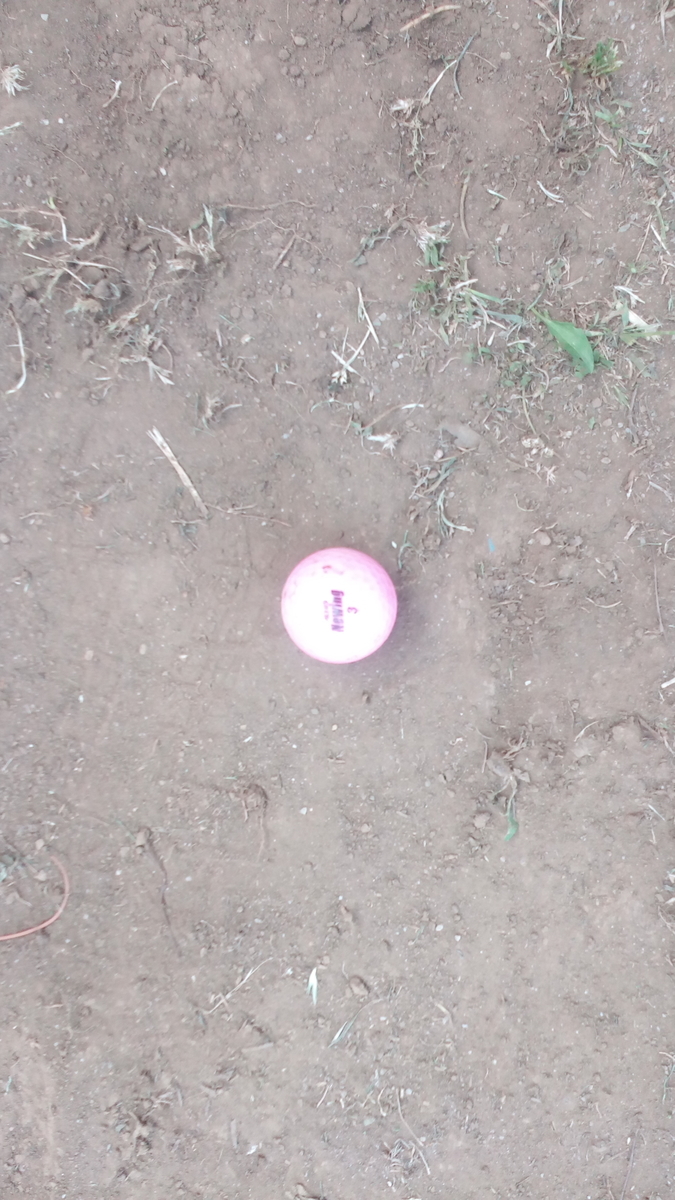 f:id:dkdgnbr79hero:20190423162727j:plain f:id:dkdgnbr79hero:20190423162727j:plain