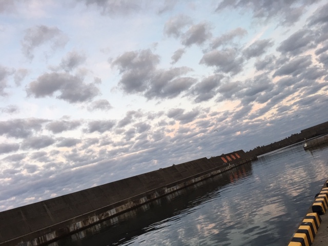 f:id:dkfws732:20181105062020j:image