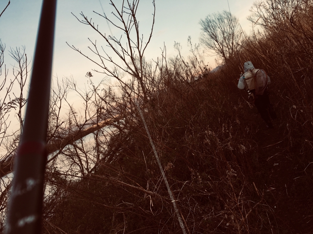 f:id:dkfws732:20190311192029j:plain