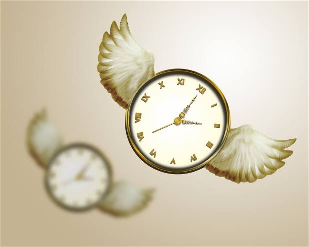 f:id:dkoi:20210311160500j:image f:id:dkoi:20210311160500j:image