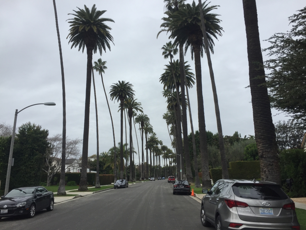 f:id:dkuroda1002:20170506152357j:plain f:id:dkuroda1002:20170506152357j:plain