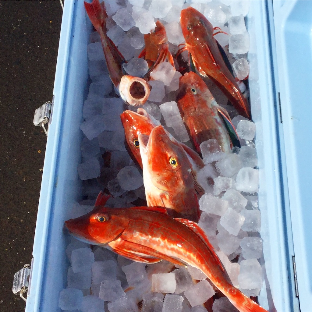 f:id:dlsf:20190607141154j:image f:id:dlsf:20190607141154j:image