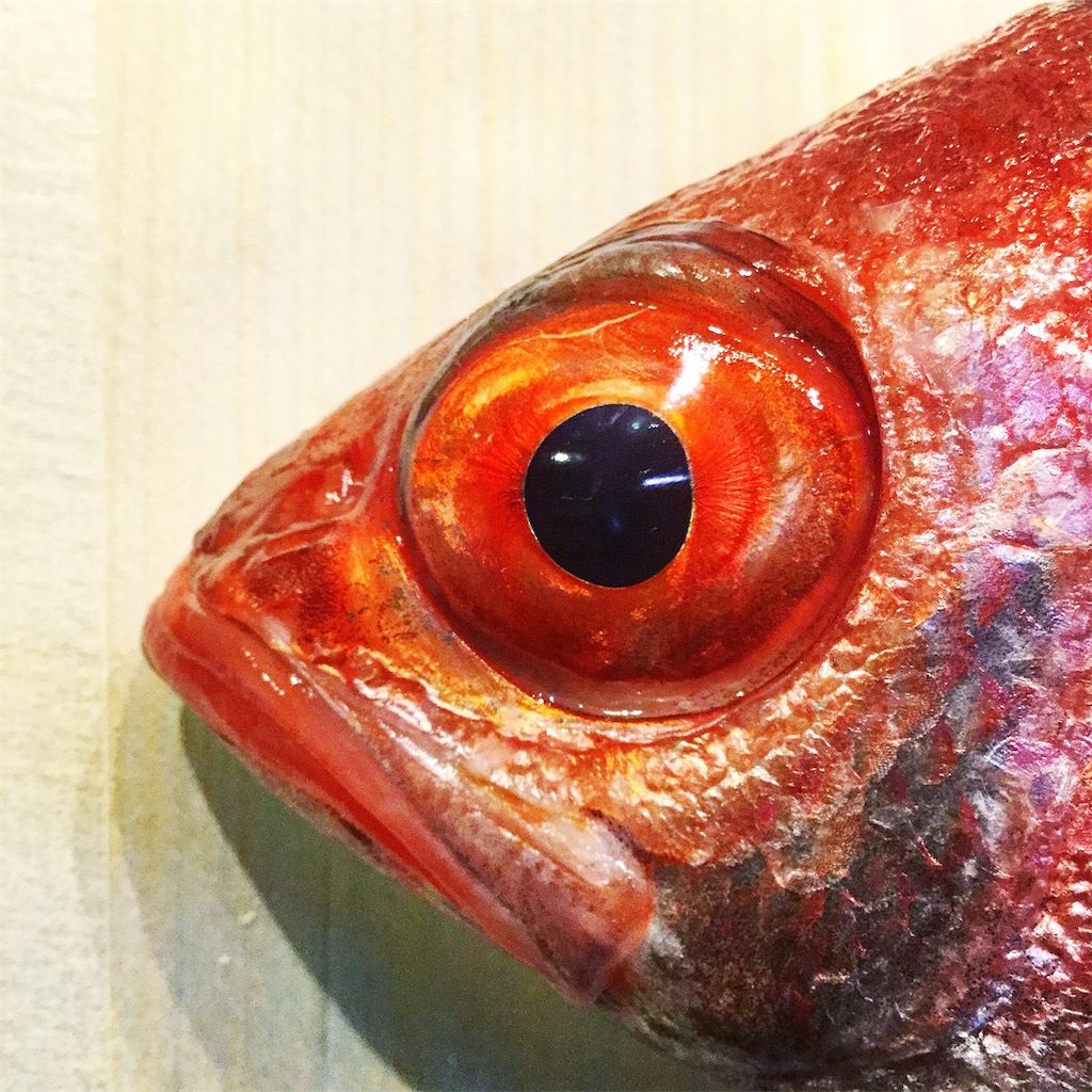 f:id:dlsf:20190607141209j:image f:id:dlsf:20190607141209j:image