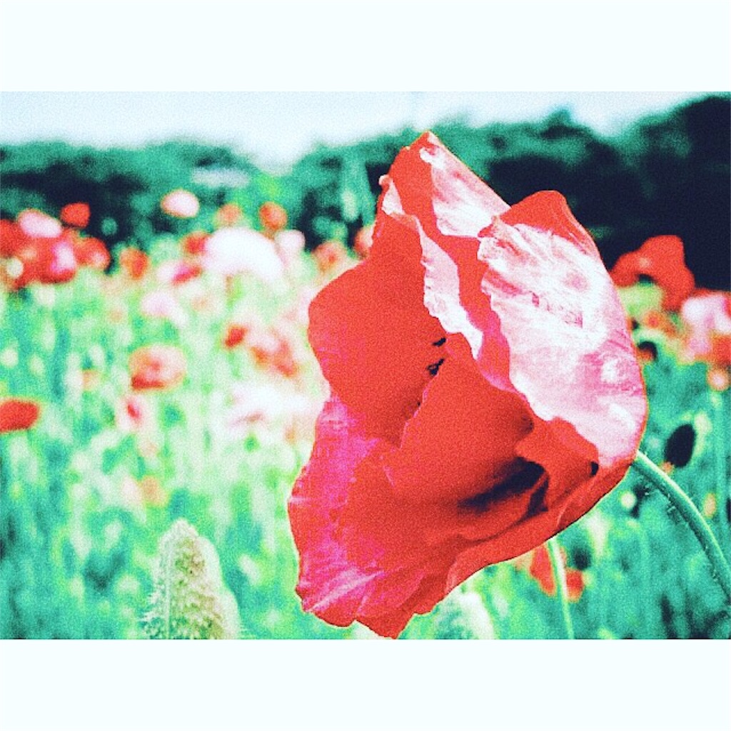 f:id:dm7bye:20180618224641j:image f:id:dm7bye:20180618224641j:image