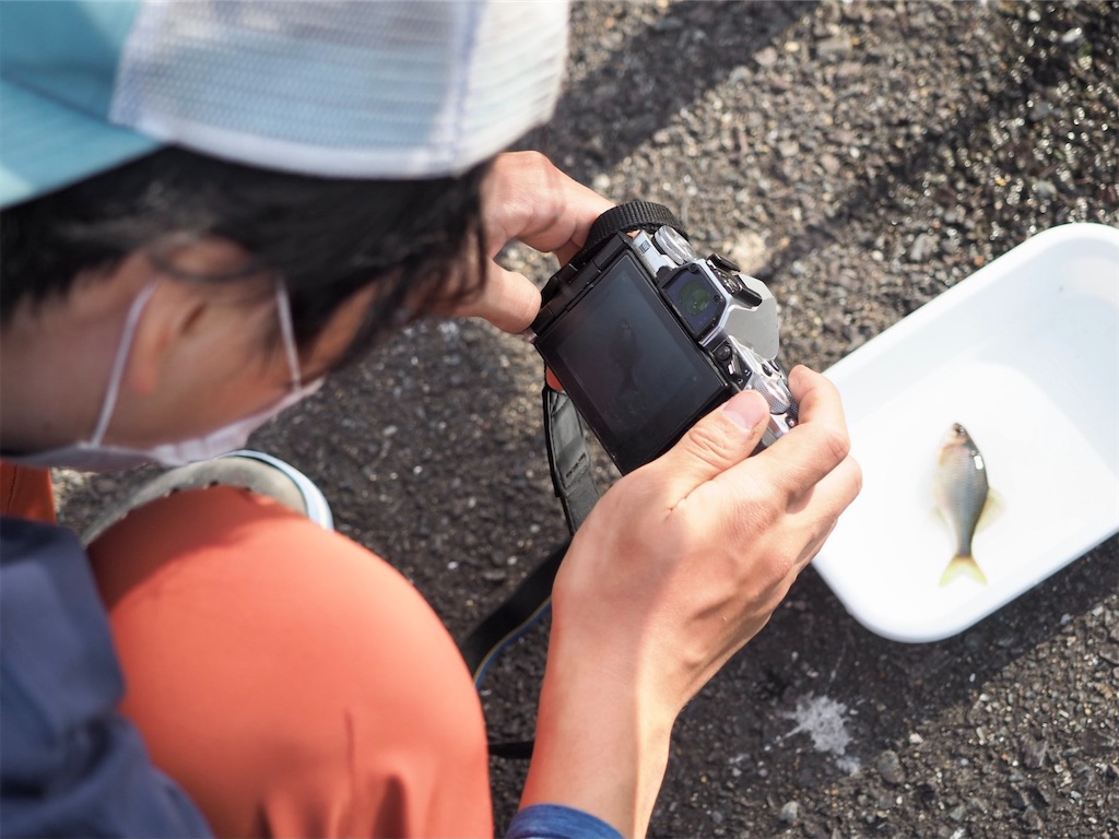 f:id:dmb_bitterling:20210318110653j:image