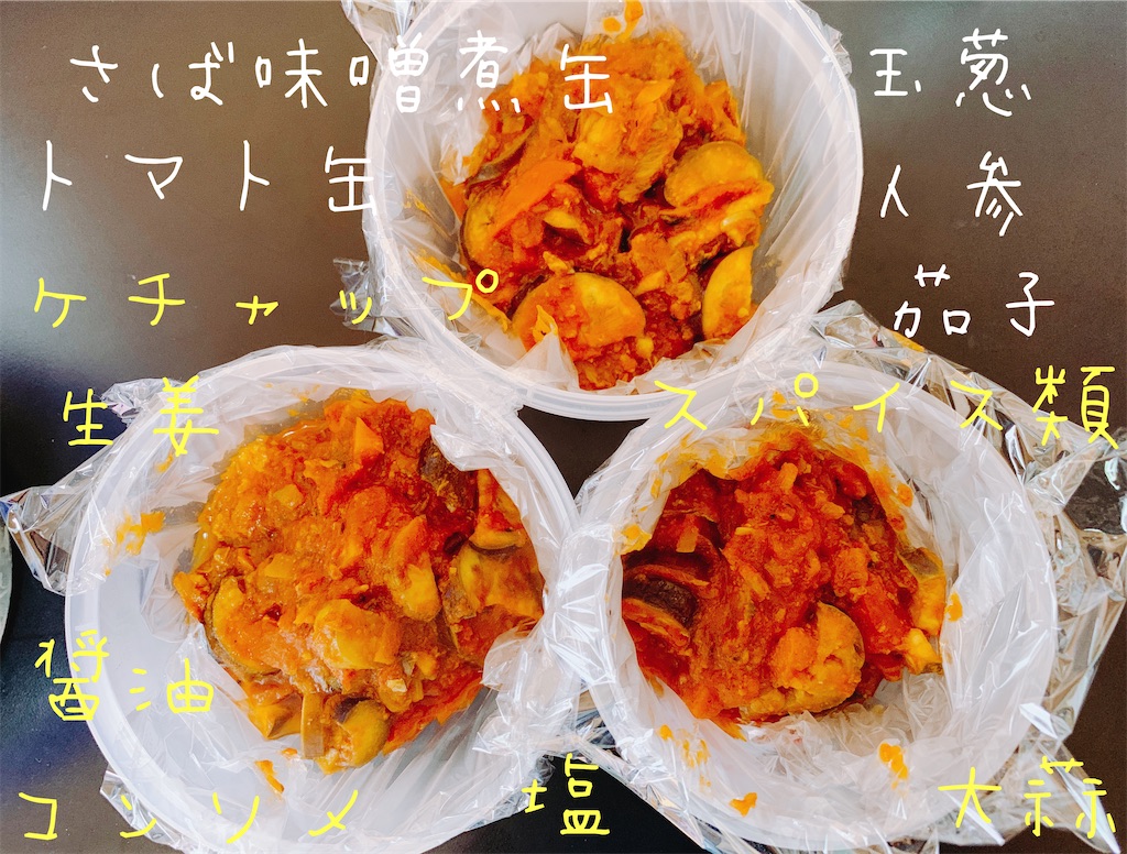 f:id:dmdcp:20201209203006j:image
