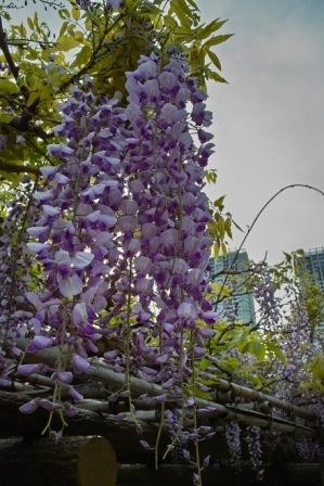 f:id:dmkt-054:20090503162334j:image