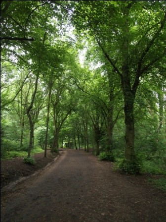 f:id:dmkt-054:20110610175017j:image