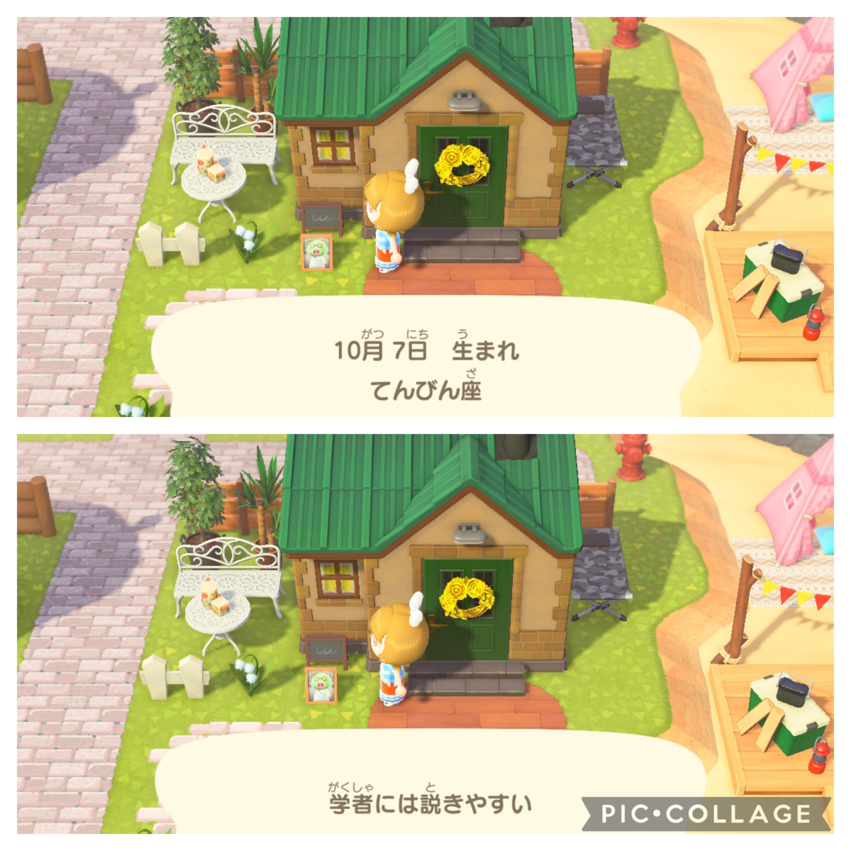 あつ森3月第3週ハカセとカモミが来た あつ森を自由に楽しむ